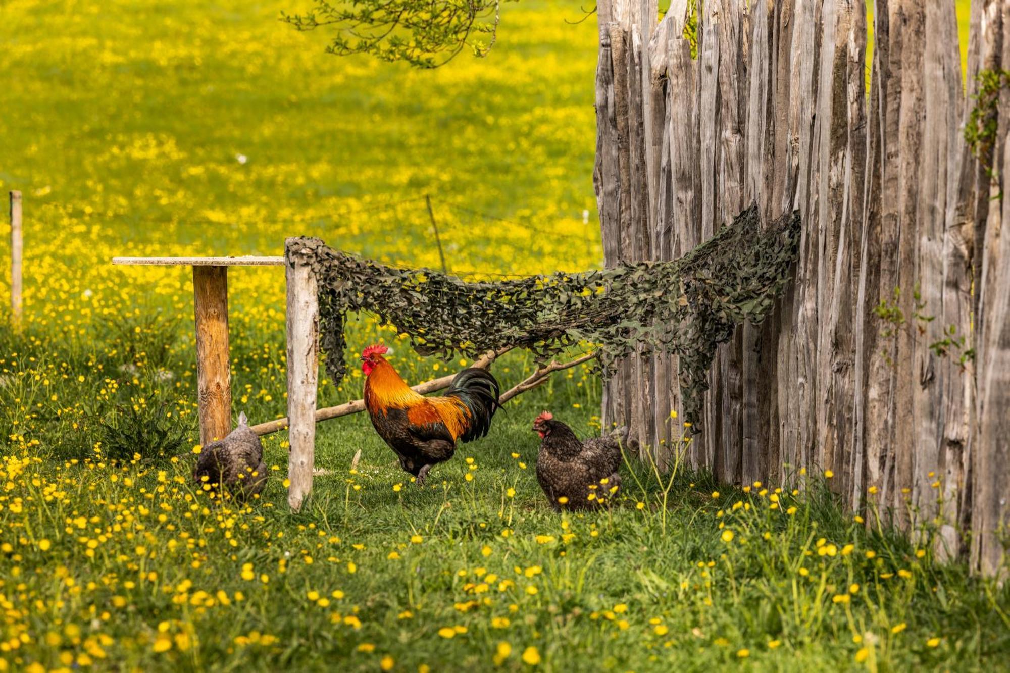 Ferienwohnungen am Gablerhof Bad Reichenhall Exterior foto